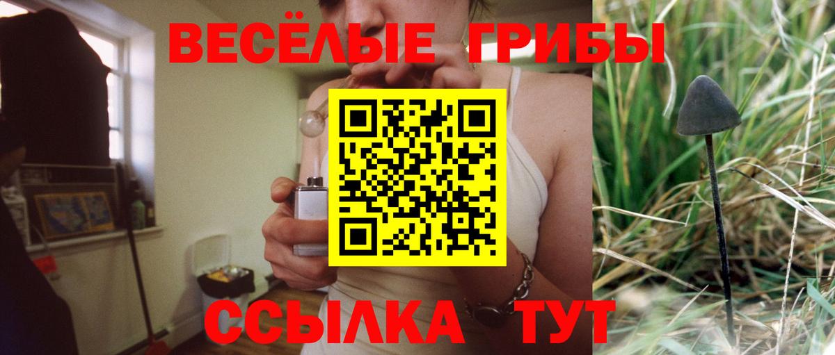 Тайшет  Галлюциногенные грибы ЛСД  Вход с VPN 