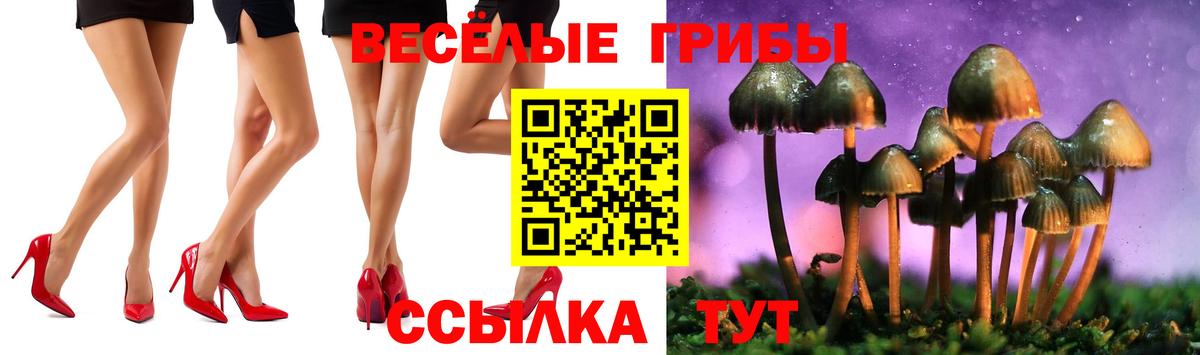 Псилоцибиновые грибы Magic Shrooms Тайшет